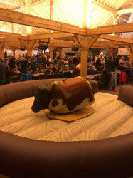 BA797D2C 75CF 4D3F 9EBC 333BDBBF4D4F 1677200452 Mechanical Bull