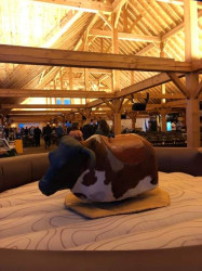 FDC673C7 F611 4DCB AFEB D2065BC2F4A0 1677200452 Mechanical Bull