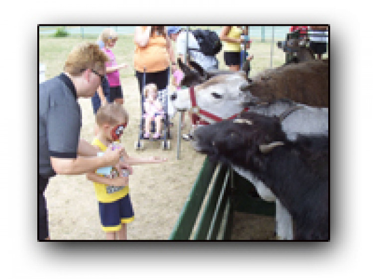 Farm Animal Petting Zoo