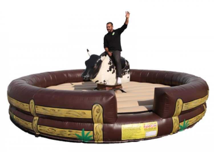 Mechanical Bull