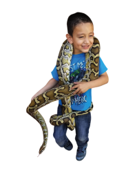 baby jesse 1744738108 Mini Petting Zoo Party Package