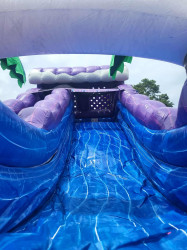 31E6F538 7008 4C5E 86BB D5953A857BBC 1753975449 18ft TROPICAL WILDTHING WATERSLIDE