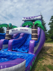 56AA0B1C 1FE9 410C B6FE 9B68200DE1FE 1753975449 18ft TROPICAL WILDTHING WATERSLIDE