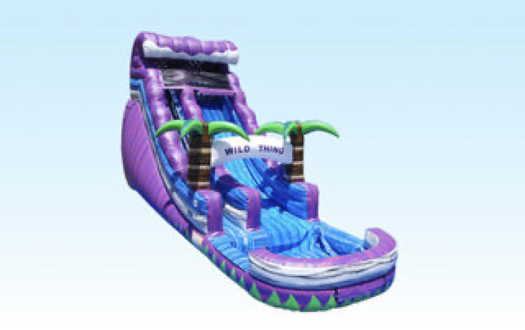 20 ft TROPICAL WILDTHING WATERSLIDE