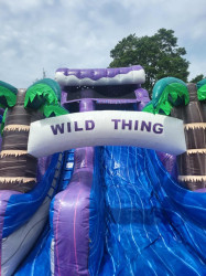 f7eb645df4951de7a24fdad4fe97e369 1753975449 18ft TROPICAL WILDTHING WATERSLIDE