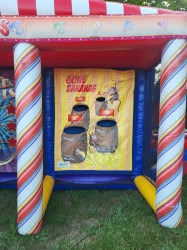 3 In 1 Carnival game 55FB4322 AEF8 4AEA AFED 6837520FD651 1753979331 3 In 1 Carnival game