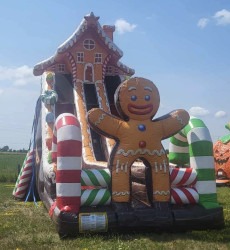22 Foot Ginger Bread Double Slide 787556A9 C3D4 41D4 8399 C2C98443B81D 1753972522 22 Foot Ginger Bread Double Slide