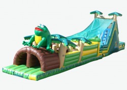Tropical Frog Obstacle Tropical Frog Obstacle