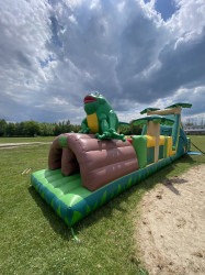 Tropical Frog Obstacle IMG 5526 1686768607 Tropical Frog Obstacle