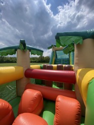 Tropical Frog Obstacle IMG 5528 1686768609 Tropical Frog Obstacle