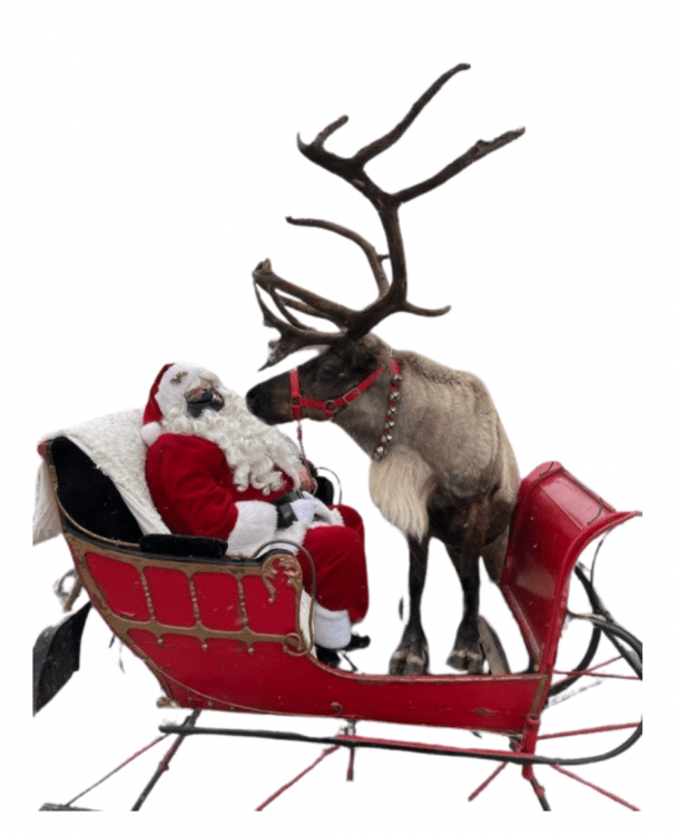 Entertainment Entertainment