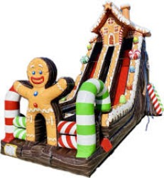 22 Foot Ginger Bread Double Slide 22 Foot Ginger Bread Double Slide