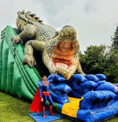 King Crocodile Slide image000000 1723843809 King Crocodile Slide
